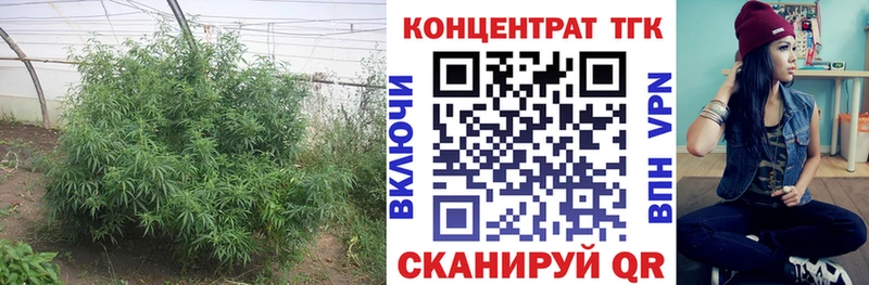 hydra сайт  Ак-Довурак  ТГК Wax 